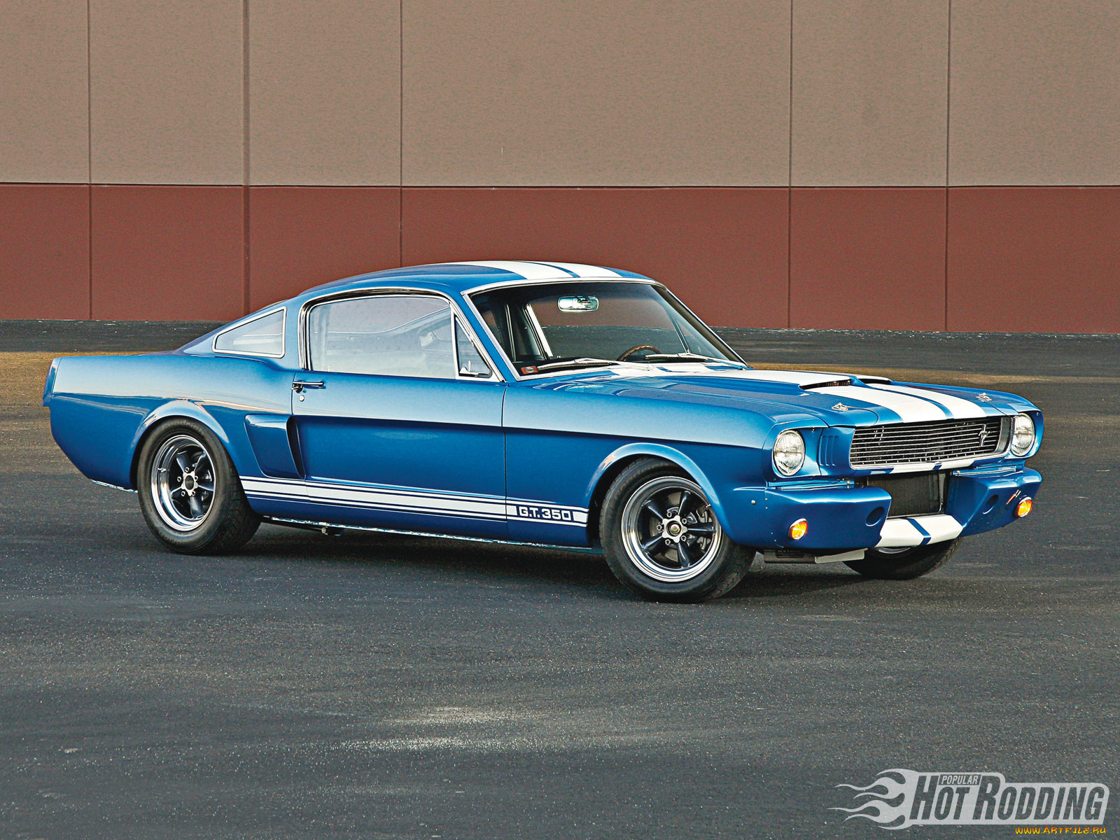 , mustang